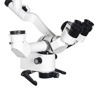 Category image: {{name}}