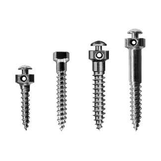 Category image: {{name}}