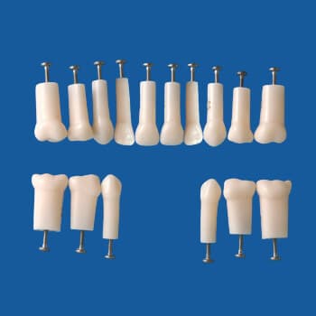 A4AN-900, Simple Root Primary Tooth Model #63