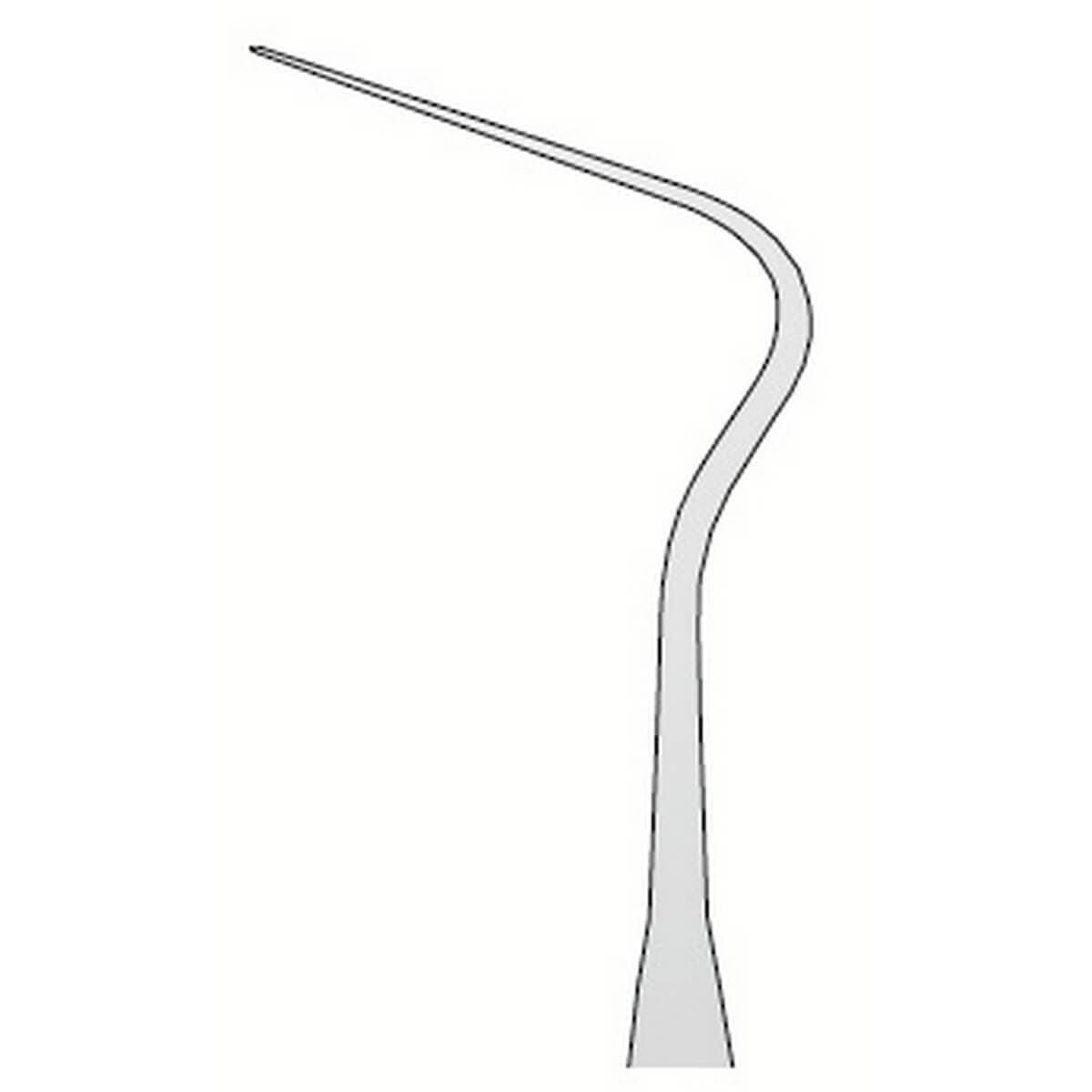 Explorer Anatomic N.8A