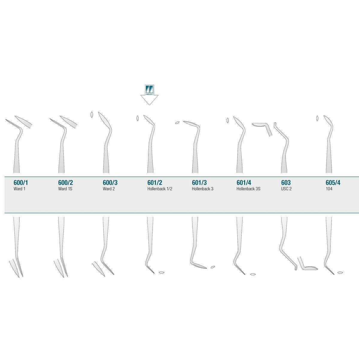 Amalgam/Composite Carver Hollenback 1/2
