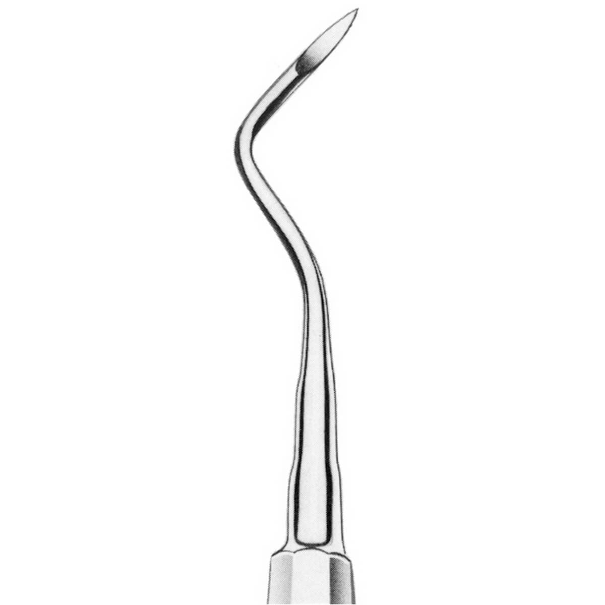 صورة المنتج