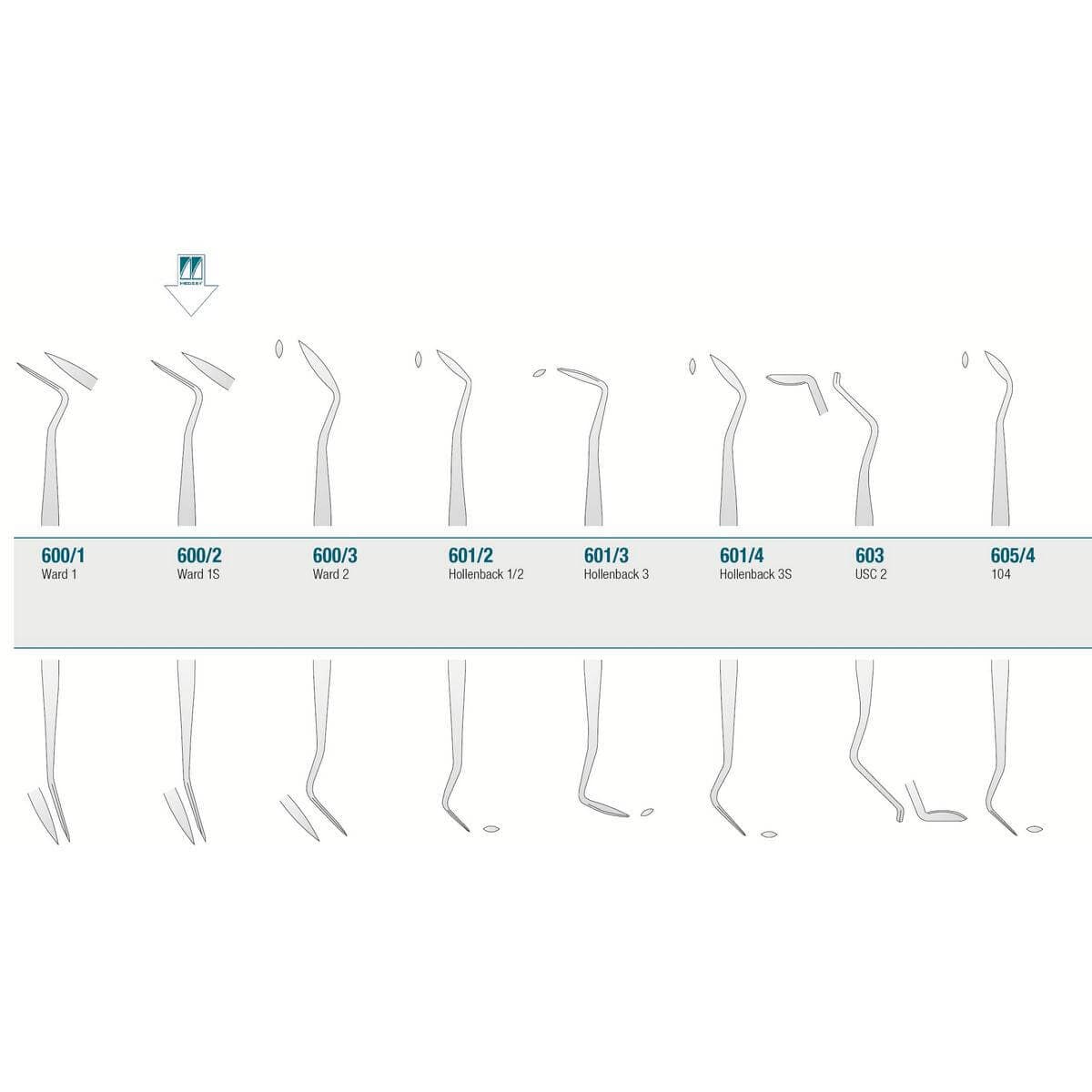 Amalgam/Composite Carver Ward 1S