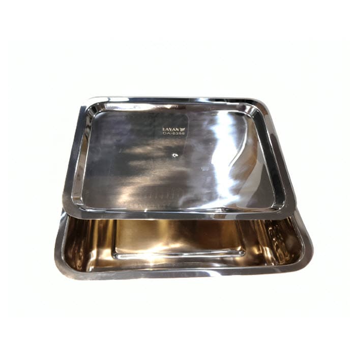 Instrument Tray with Lid, 320 x 200 x 55 mm