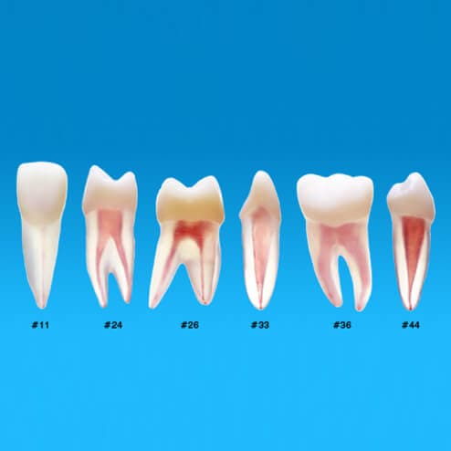صورة المنتج
