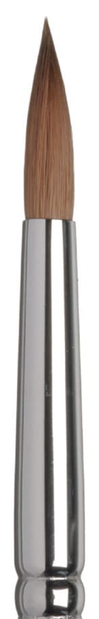 Murena-Zobel Brush, Size 8